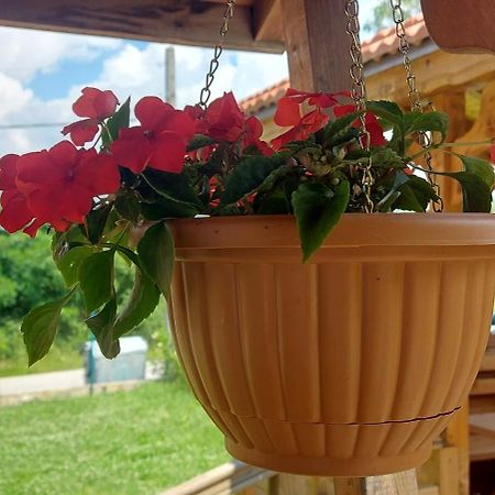 Mini Complex Rilski Terasi Sapareva Banya Exterior foto