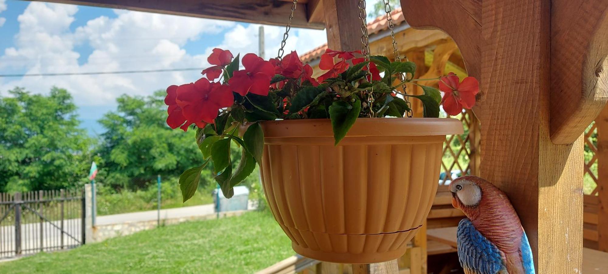 Mini Complex Rilski Terasi Sapareva Banya Exterior foto
