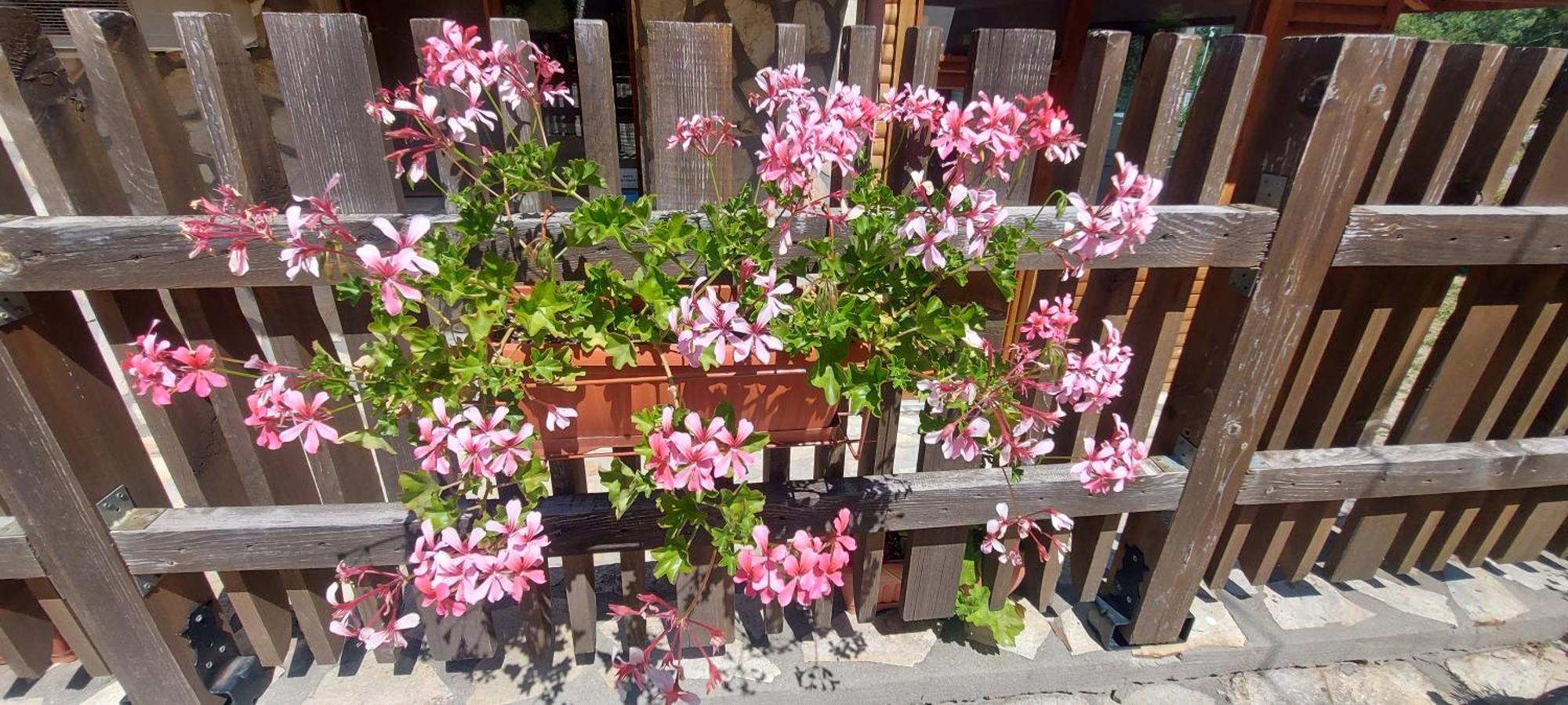 Mini Complex Rilski Terasi Sapareva Banya Exterior foto