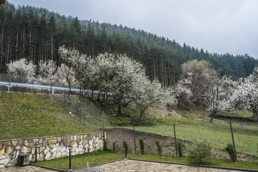 Mini Complex Rilski Terasi Sapareva Banya Exterior foto
